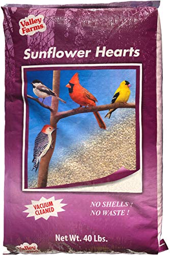 40 Lb Sunflower Bird Seed 2024 Vet Ranch We Love Pets