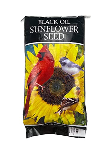 Bulk Black Oil Sunflower Seeds Vet Ranch We Love Pets