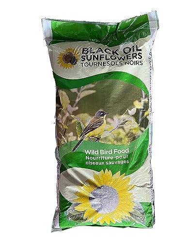 Black Oil Sunflower Seeds Lbs Near Me Vet Ranch We Love Pets