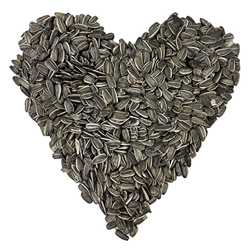 Sunflower Bird Seeds For Sale Vet Ranch We Love Pets