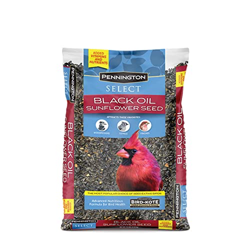 Pennington Sunflower Seed Vet Ranch We Love Pets