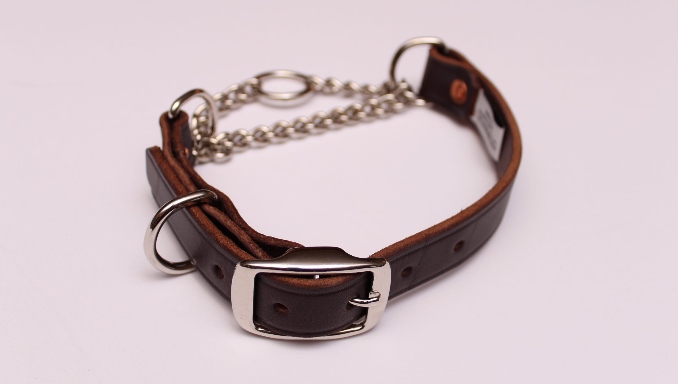 What Is A Martingale Collar How Does It Work