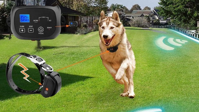 justpet wireless dog fence reviews