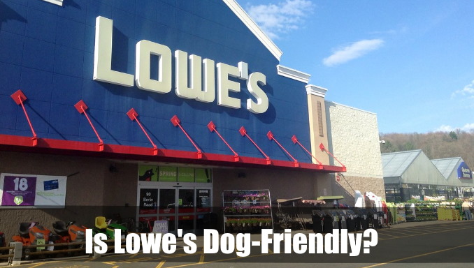 Is Lowe's Dog-Friendly
