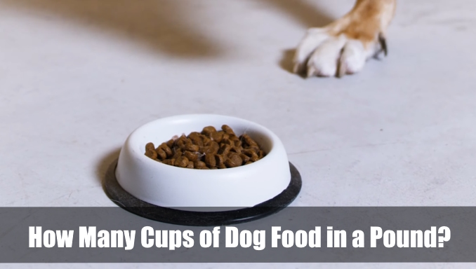 How Many Cups of Dog Food in a Pound