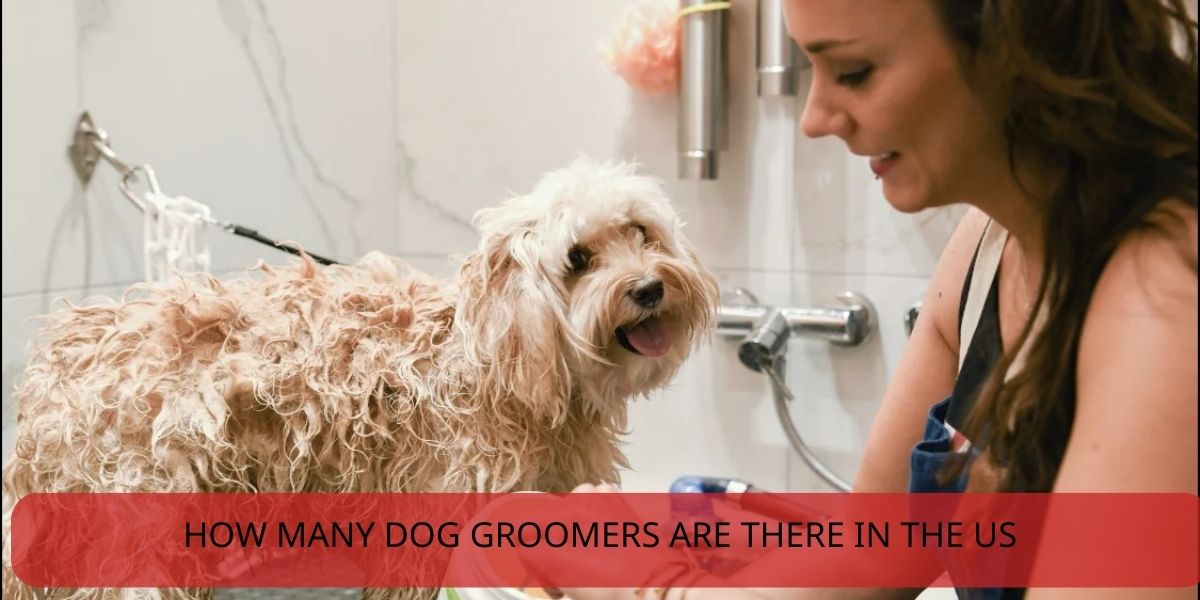 how many dog groomers are there in the us