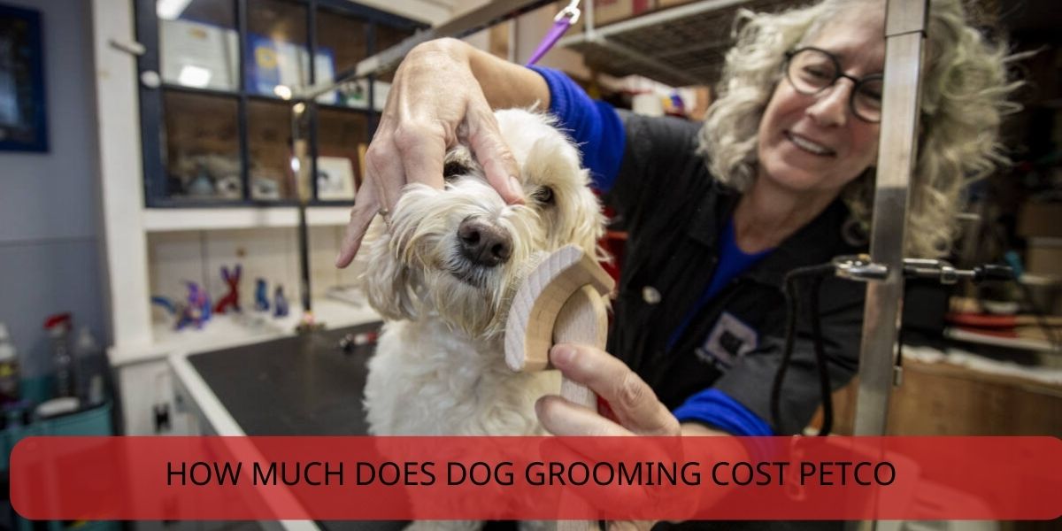 how much does dog grooming cost petco