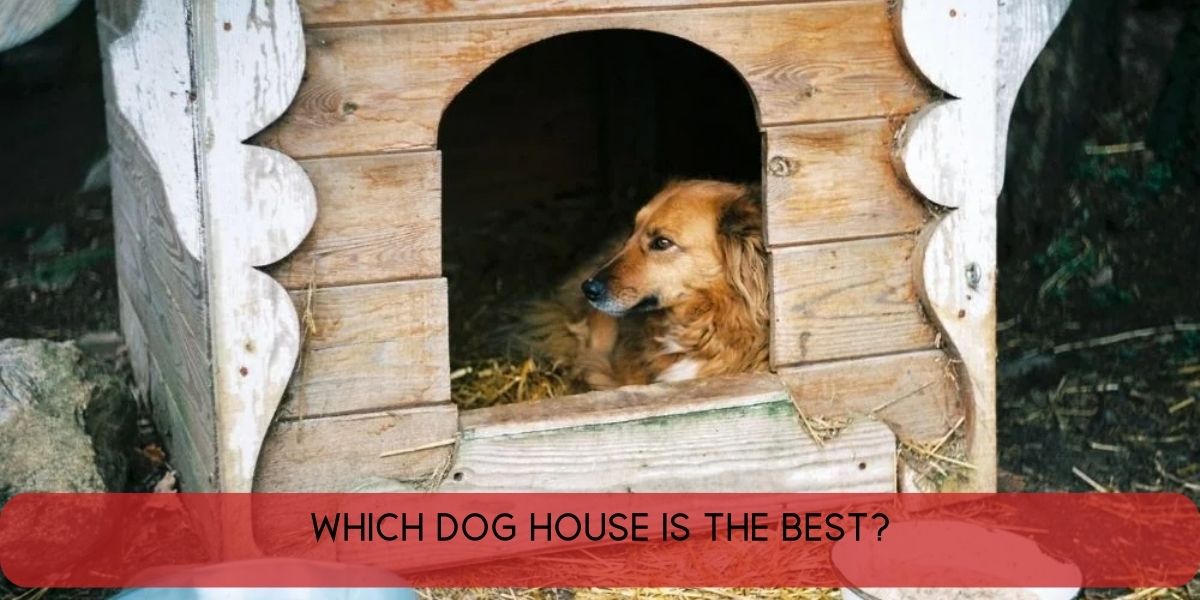 which dog house is the best