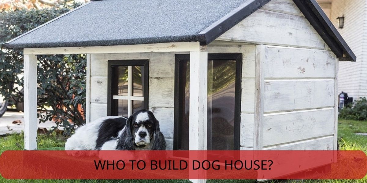 how to build dog house