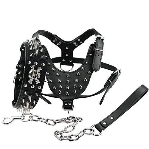 Berry Pet Leather Spikes Studded Medium & Large Black Dog Collar & Leash & Harness 3 Pcs Set for Pitbull Boxer