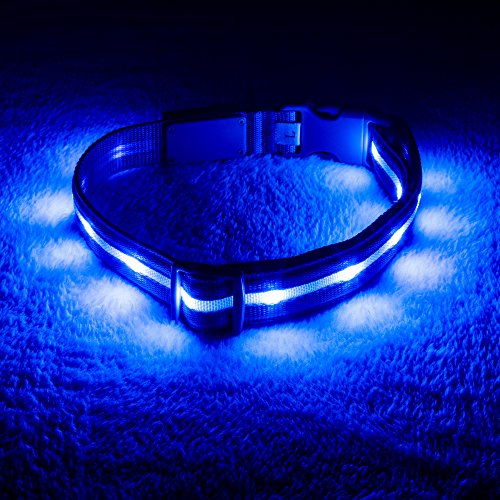 Blazin LED Light Up Dog Collar - 1,000 Feet of Visibility - Brightest for Night Safety - USB Rechargeable Waterproof Dog Collar Light