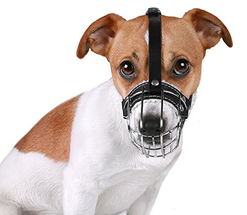 BronzeDog Wire Basket Dog Muzzle Jack Russell Terrier Metal Leather Adjustable Puppy Small (XXS)