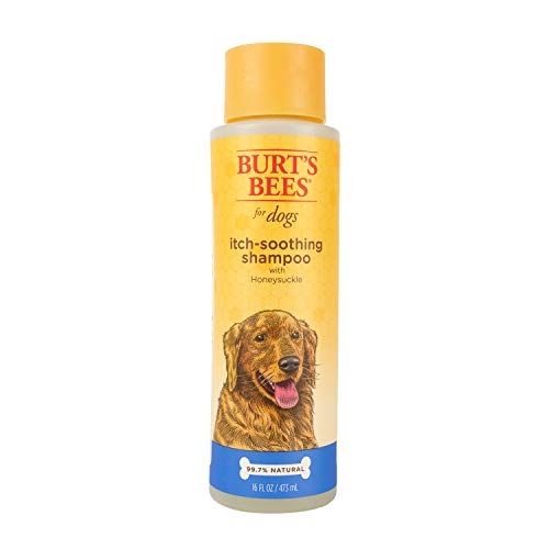 Burt's Bees for Pets Itch Soothing Shampoo with Honeysuckle | Anti-Itch Dog Shampoo for Dogs with Sensitive Skin | Cruelty Free, Sulfate & Paraben Free, pH Balanced for Dogs - Made in the USA, 16 Oz
