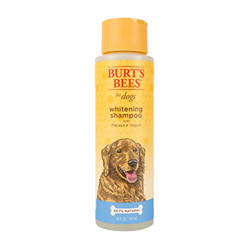 Burt's Bees for Pets Natural Whitening Shampoo with Papaya & Yogurt | Brightening White Dog Shampoo for All Dogs | Cruelty Free, Sulfate & Paraben Free, pH Balanced for Dogs - Made in USA, 16 Oz