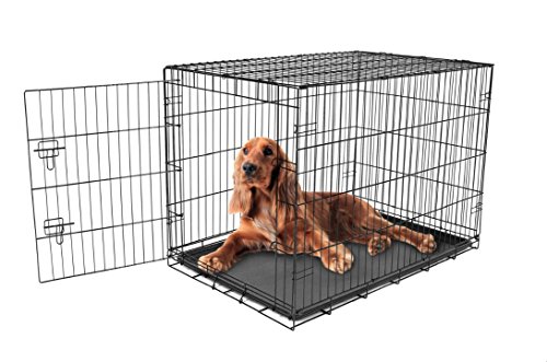 Carlson Pet Products Secure and Foldable Single Door Metal Dog Crate, Intermediate