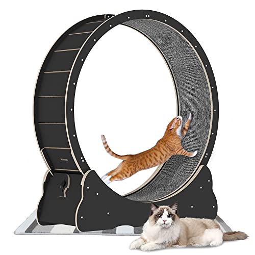 Cat Exercise Wheel for Indoor Cats, Inside Diameter 39.37" Large Cat Running Wheels, Easy Assembled Cat Treadmill Wheel with Locking Mechanism, Ultra-Quiet Running for Cat‘s Healthy