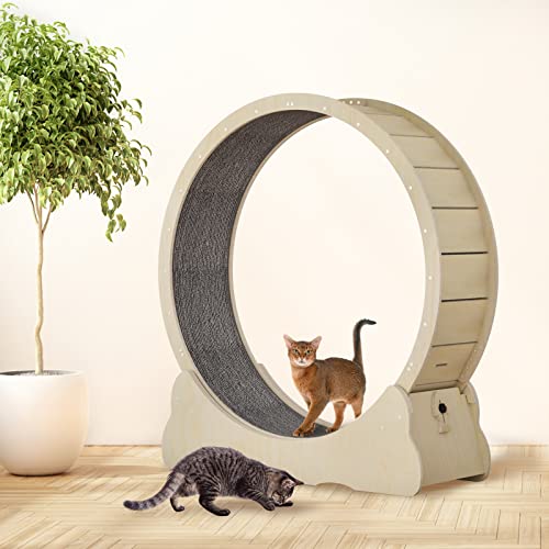 Cat Wheel, Cat Exercise Wheel, Cat Wheel Exerciser for Indoor Cats for Walking, Running, Training, Cat Treadmill Suitable for Most Cats (Wood)