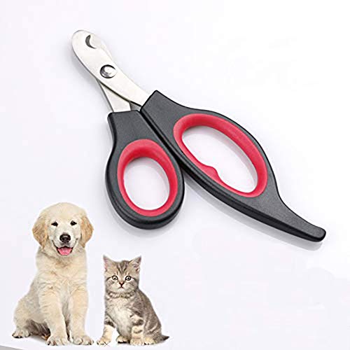 Chi-buy Professional Pet Nail Clippers Stainless Steel pet Nail Scissors for Small and Medium Dogs and Cats Pet Grooming Tools