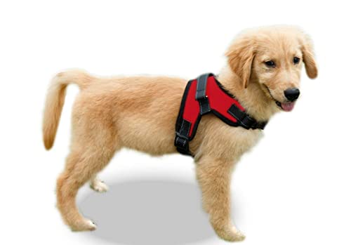 Copatchy No Pull Reflective Adjustable Dog Harness with Handle (X-Small, Red)