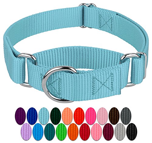 Country Brook Petz - Ocean Blue Martingale Heavy Duty Nylon Dog Collar - 21 Vibrant Color Options (1 Inch Width, Large)