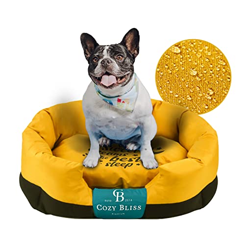 Cozy Bliss Chewy Dog Bed with Teflon Fabric 28"L x 22"W Scrubable Water Resistant Pet Cat Crate Mat Non Stick Hair Washable Anti Slip Orthopedic Luxury Couch Outdoor for Large Small Medium Dogs Yellow