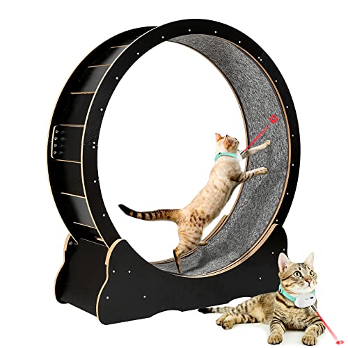 Docal Cat Exercise Wheel for Indoor Cats, Diameter 43.3'' Large Cat Running Wheels, Easy Assembled Cat Treadmill Wheel with Locking Process and Laser Cat Toy, Ultra-Quiet Running for Cat's Healthy