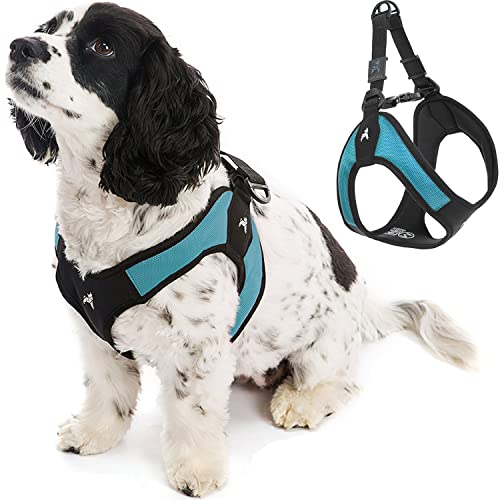 Gooby Escape Free Easy Fit Harness - Turquoise, Medium - No Pull Step-in Patented Small Dog Harness with Quick Release Buckle - Perfect On The Go No Pull Harness for Small Dogs or Medium Dog Harness