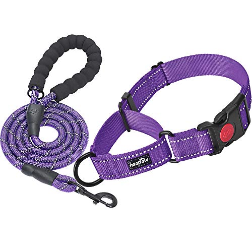 haapaw 2 Packs Martingale Dog Collar with Quick Release Buckle Reflective Dog Training Collars for Small Medium Large Dogs