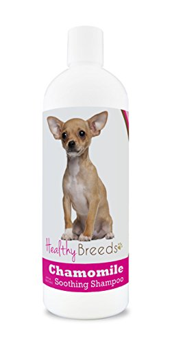 Healthy Breeds Chihuahua Chamomile Soothing Dog Shampoo 8 oz