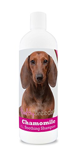 Healthy Breeds Dachshund Chamomile Soothing Dog Shampoo 8 oz