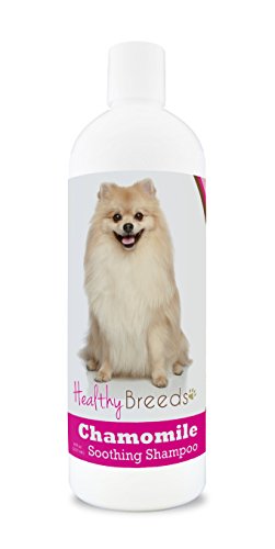Healthy Breeds Pomeranian Chamomile Soothing Dog Shampoo 8 oz