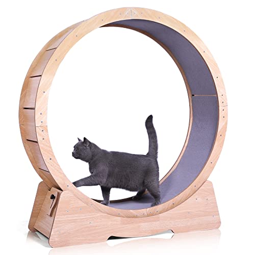 HYPULY Cat Exercise Wheel for Indoor Cats, Large 42.5 Inch Cat Treadmill Exerciser for Fitness and Healthy, Suitable for Most Cats