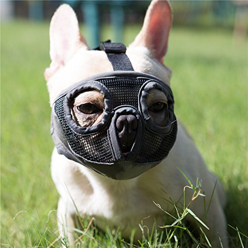 JYHY Short Snout Dog Muzzles- Adjustable Breathable Mesh Bulldog Muzzle for Biting Chewing Barking Training Grooming Dog Mask,Grey(Eyehole) S