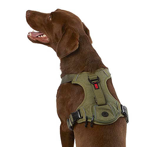 Kong Dog Harness 2024 Vet Ranch We Love Pets