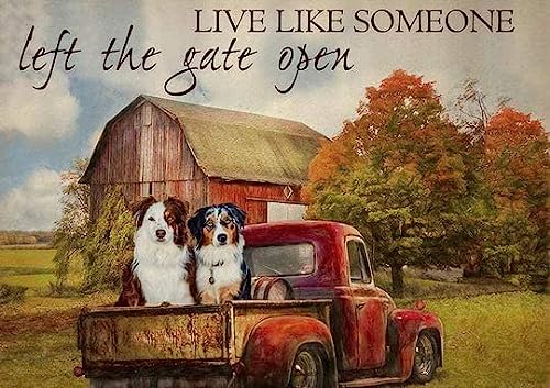 Live Like Someone Left The Gate Open Australian Shepherds Dogs -300 Pieces Wooden Adult Puzzle Game Props - Western Farm Painting - Farmer Family Farm Art - Western Puzzle