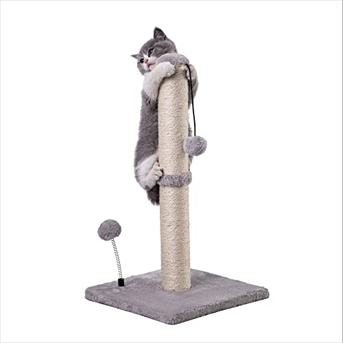 MECOOL Cat Scratching Post Premium Basics Kitten Scratcher Sisal Scratch Posts with Hanging Ball 22" for Kittens or Smaller Cats (22 inches for Kitten, Gray)