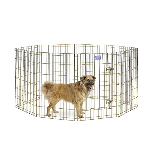 MidWest Homes for Pets Foldable Metal Dog Exercise Pen / Pet Playpen, Gold zinc w/ door, 24'W x 36'H, 1-Year Manufacturer's Warranty