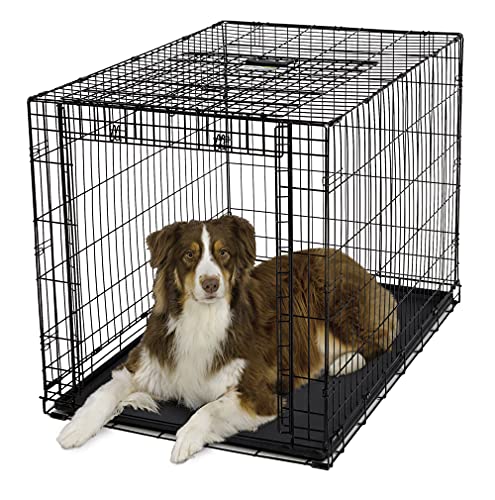 MidWest Homes for Pets Ovation Single Door Dog Crate, 42-Inch