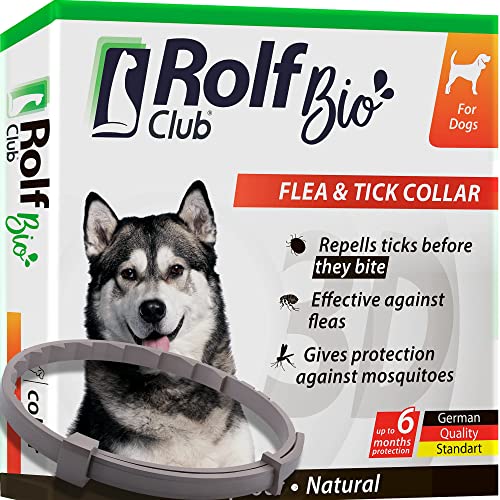 Natural Flea & Tick Collar for Dogs - 6 Months Control of Best Prevention & Safe Treatment - Anti Fleas and Ticks Essential Oil Repellent (1 Count (Pack of 1))