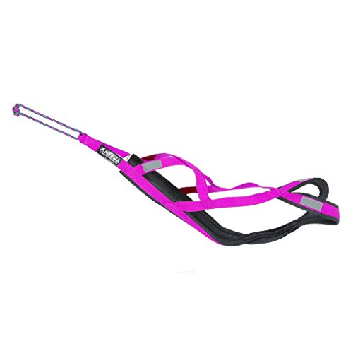 Neewa Sled Pro Harness (Large, Pink), Dog Pulling Harness, Husky Harness, Mushing Harness, X Back Harness Dog for Dog Exercise, Bikejoring, Skijoring, Dog Sledding, Canicross, Dog Harness