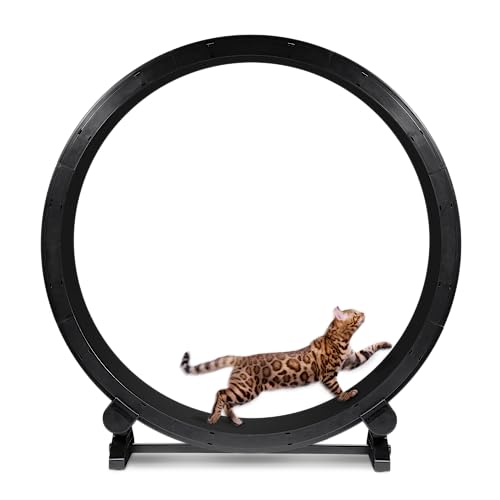 ONE FAST CAT - Cat Exercise Wheel - Safe 48" Diameter - Made in The USA
