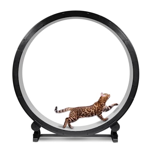 ONE FAST CAT - Cat Exercise Wheel - Safe 48" Diameter - Made in The USA