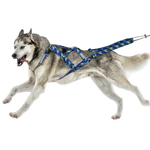 PET ARTIST Dog Weight Pulling Harness,Speed Training,Work Out Dog Sled Harness for Medium,Large Dogs,Blue,XL