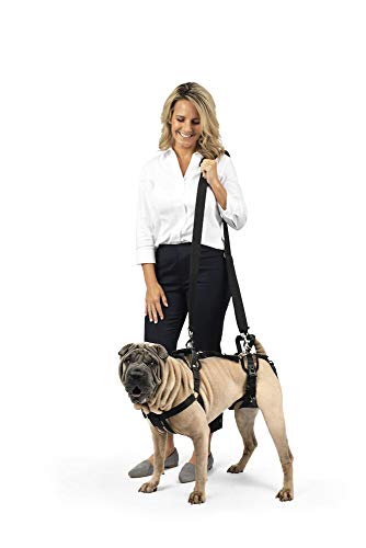 PetSafe CareLift Support Harness - Full Body Dog Lift Harness with Handle & Shoulder Sling - Great for Elderly Dogs, Hip Dysplasia, ACL Surgery - Designed to Help Them Up - Adjustable - Medium