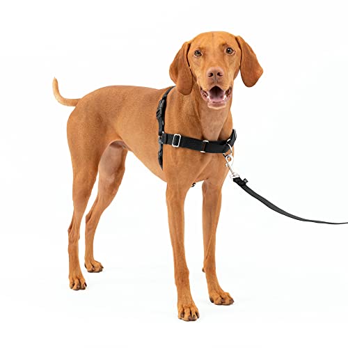 PetSafe Easy Walk No-Pull Dog Harness - The Ultimate Harness to Help Stop Pulling - Take Control & Teach Better Leash Manners - Helps Prevent Pets Pulling on Walks - Medium, Charcoal/Black