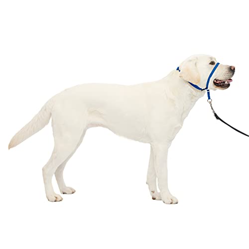 PetSafe Gentle Leader No-Pull Dog Headcollar - The Ultimate Solution to Pulling - Redirects Your Dog's Pulling For Easier Walks - Helps You Regain Control - Large, Royal Blue