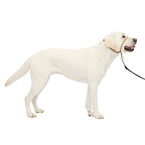 PetSafe Gentle Leader No-Pull Dog Headcollar - The Ultimate Solution to Pulling - Redirects Your Dog's Pulling For Easier Walks - Helps You Regain Control - Large, Fawn