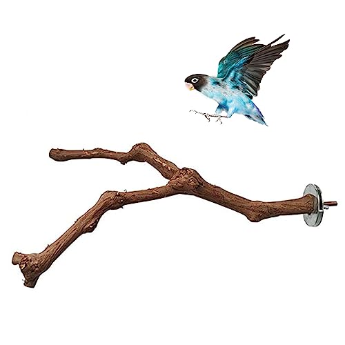 PINVNBY Parrot Perches Natural Birds Stand Wild Grape Stick Grinding Paw Climbing Wood Cage Accessories and Toy for Parakeet, Lovebirds,Budgies,Cockatiels and Finches