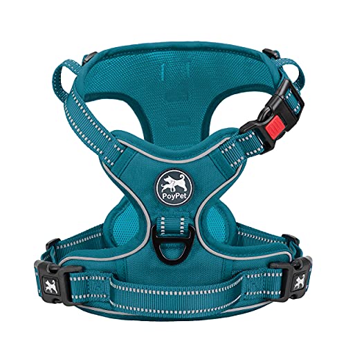 PoyPet No Pull Dog Harness, No Choke Reflective Dog Vest, Adjustable Pet Harnesses with Easy Control Padded Handle for Small Medium Large Dogs(Tumalo Teal,L)