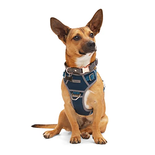 Reddy Navy Dog Harness, Large